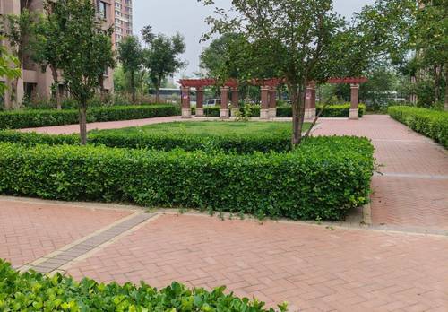 Jinghai 招商依水郡-4号楼