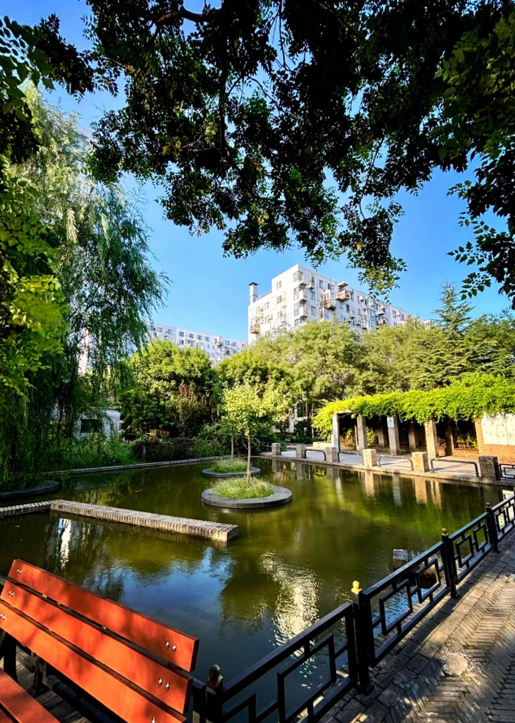 Chaoyang 苹果派