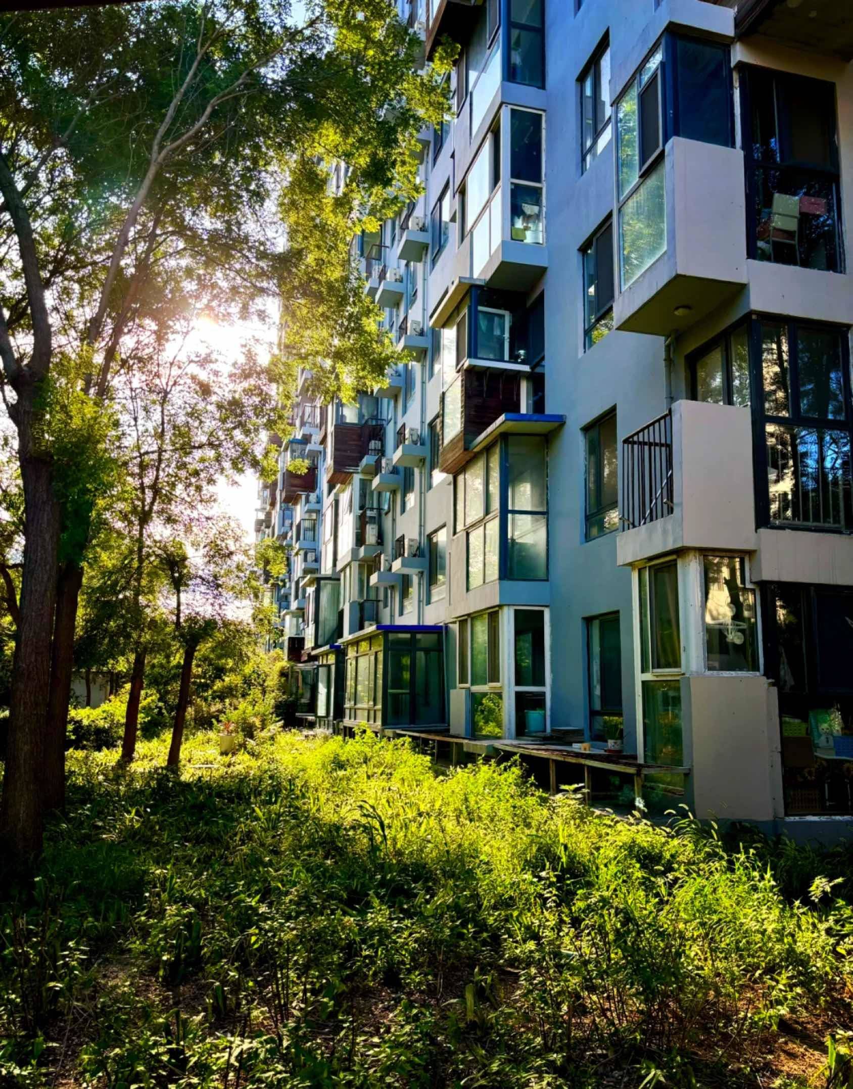 Beijing Chaoyang | 苹果派_4