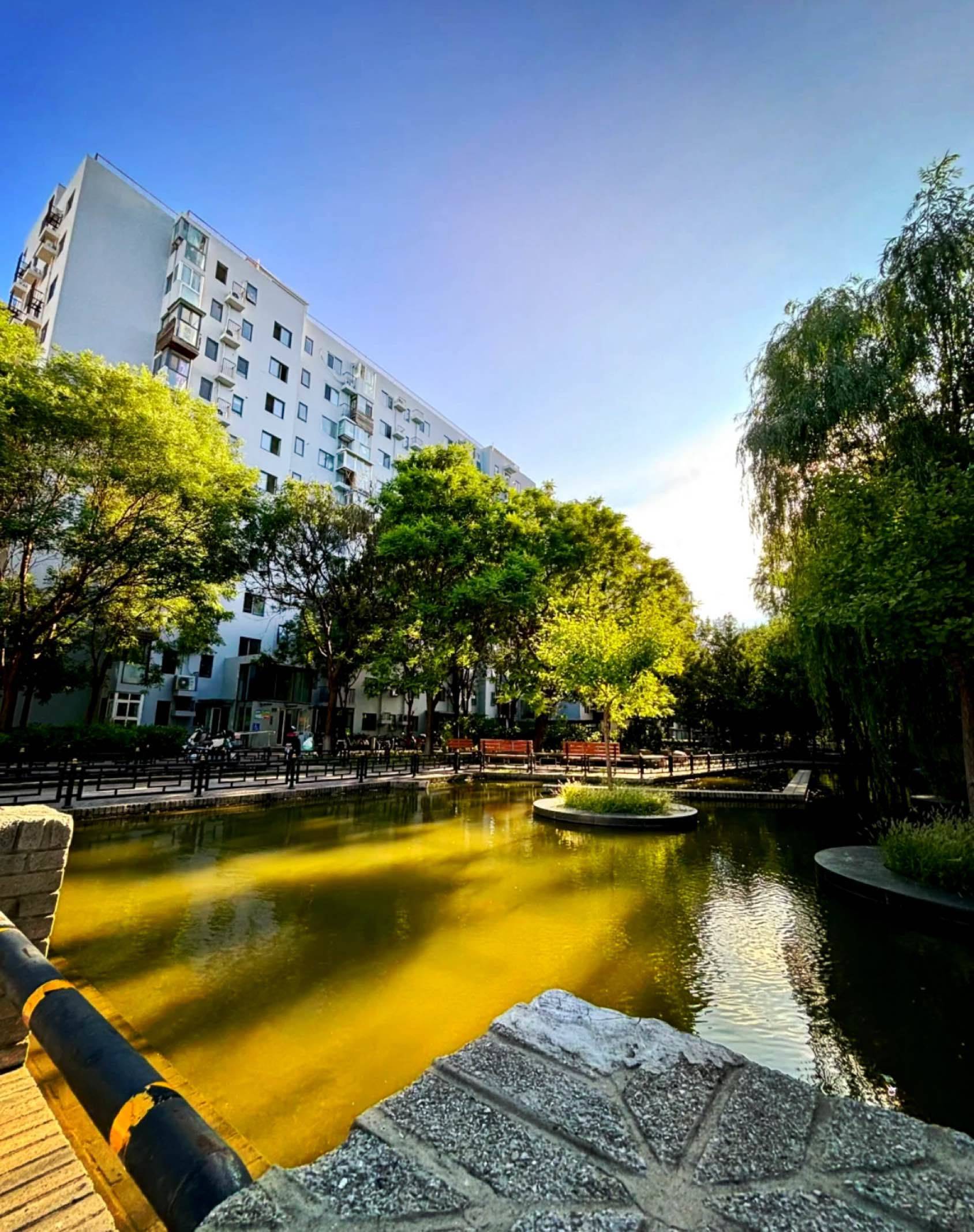Beijing Chaoyang | 苹果派_3