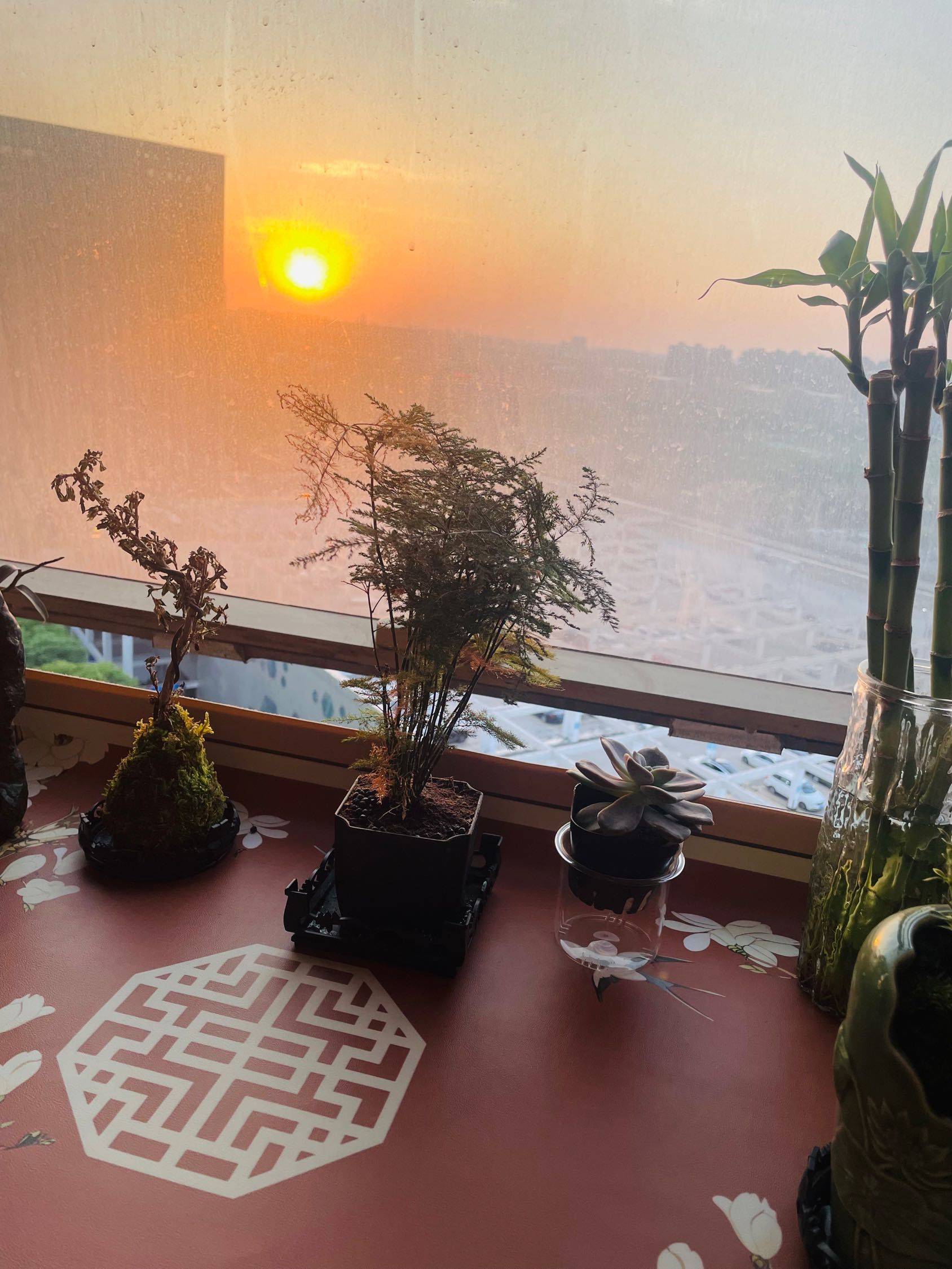 Songjiang 三湘青年e