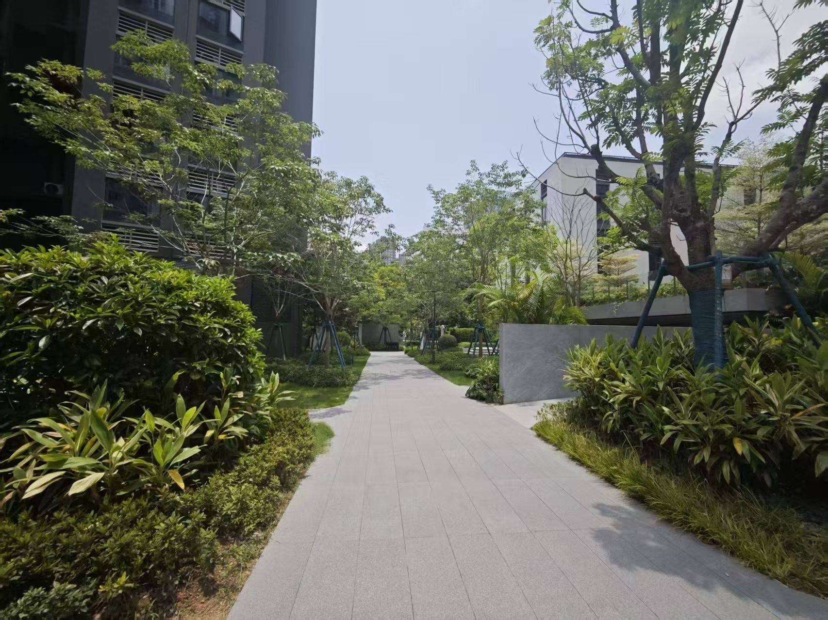 Longhua 保利招商龙誉花园-3栋