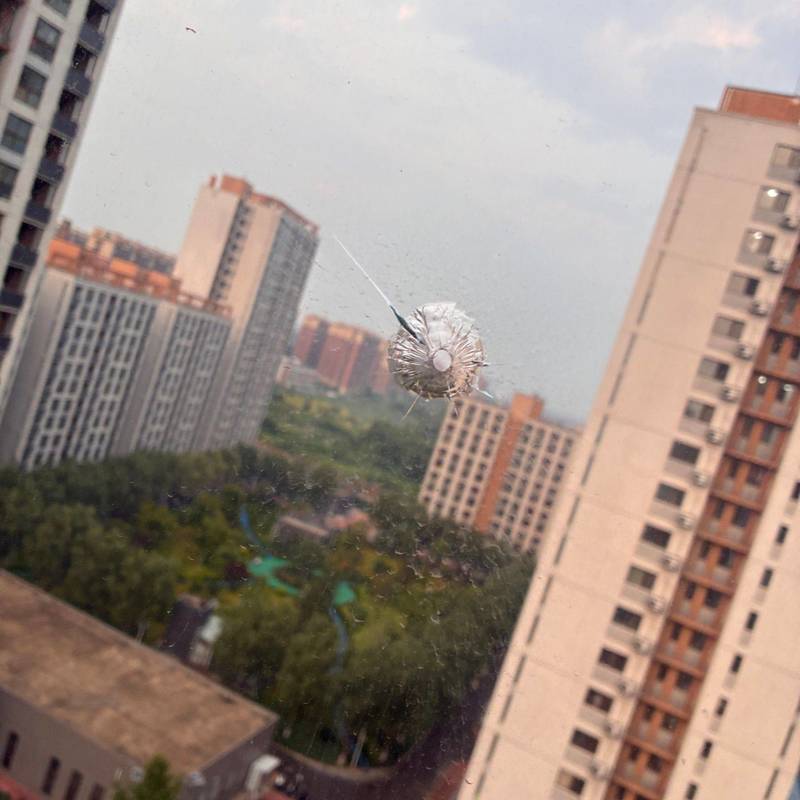 Beijing Changping | 紫锦园-9号楼_6