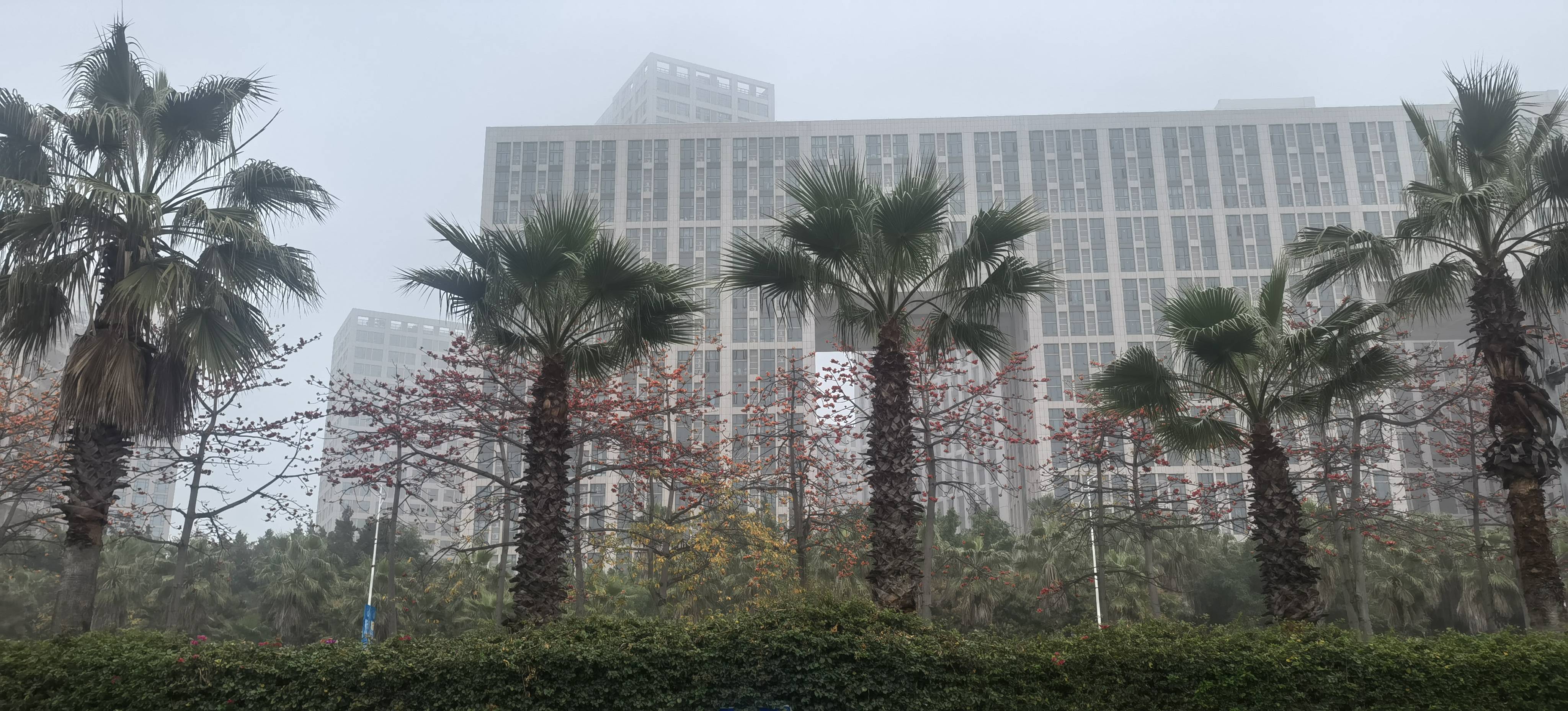Xiang'An 海西舜弘自在城-1号楼