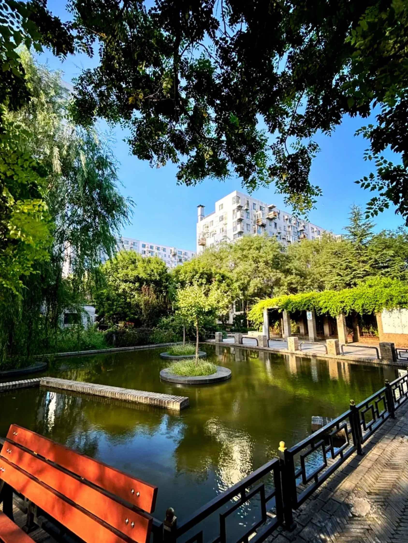 Beijing Chaoyang | 苹果派_3