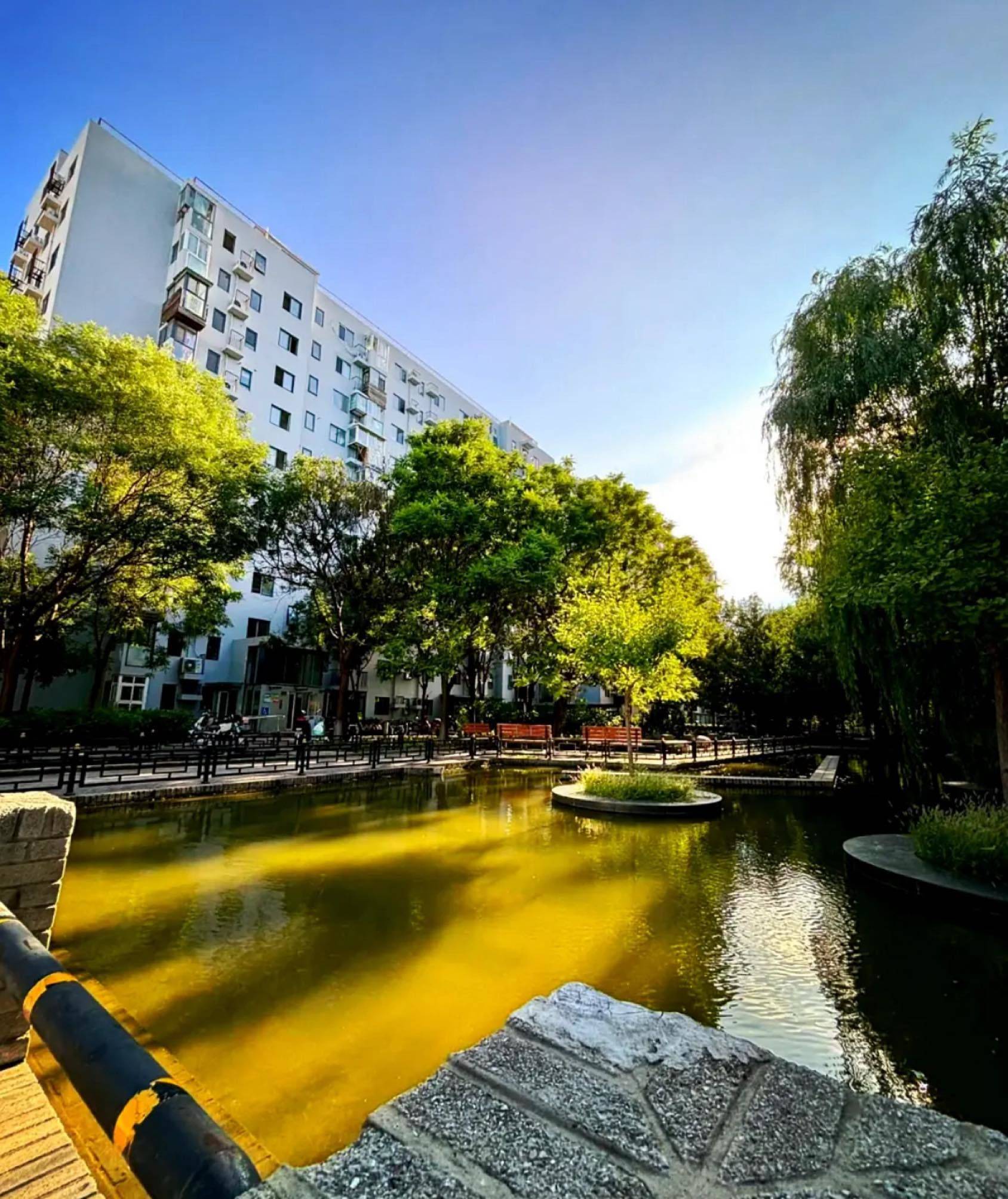Beijing Chaoyang | 苹果派_4