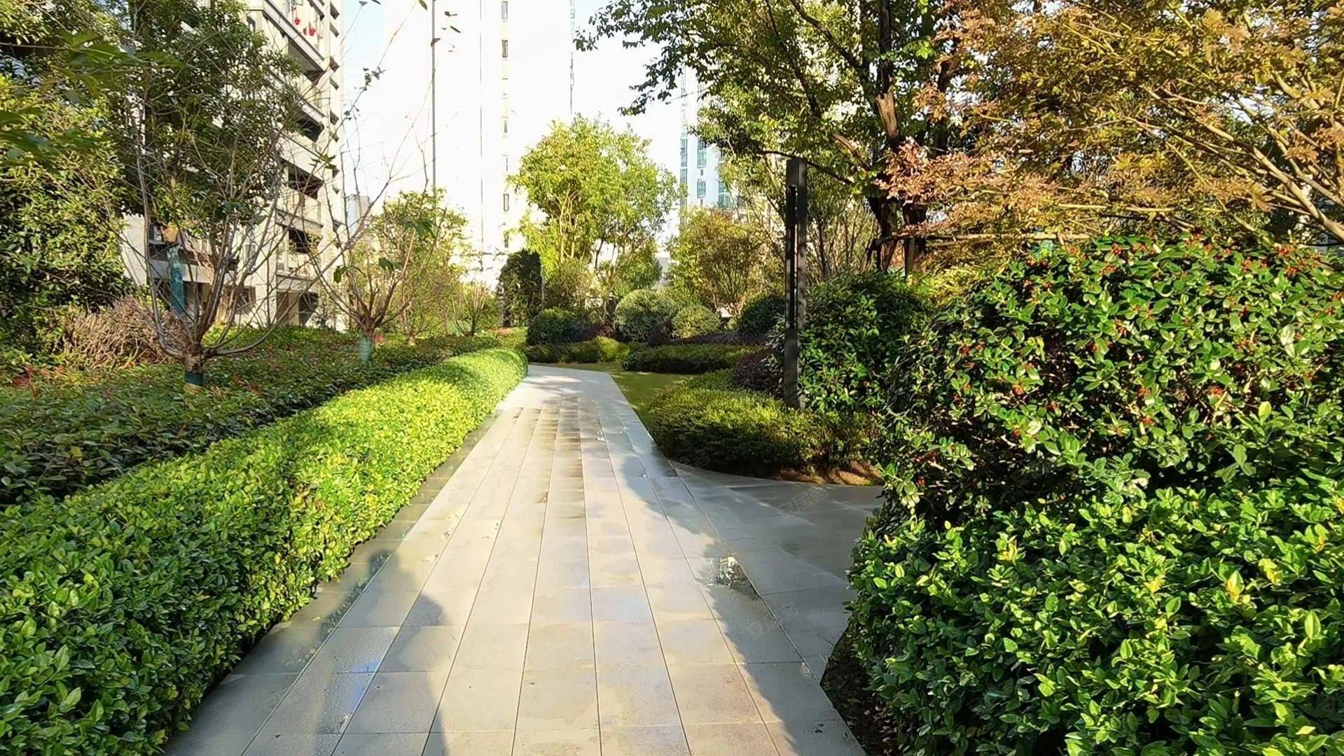 温州 鹿城 | 鹿城之光_4