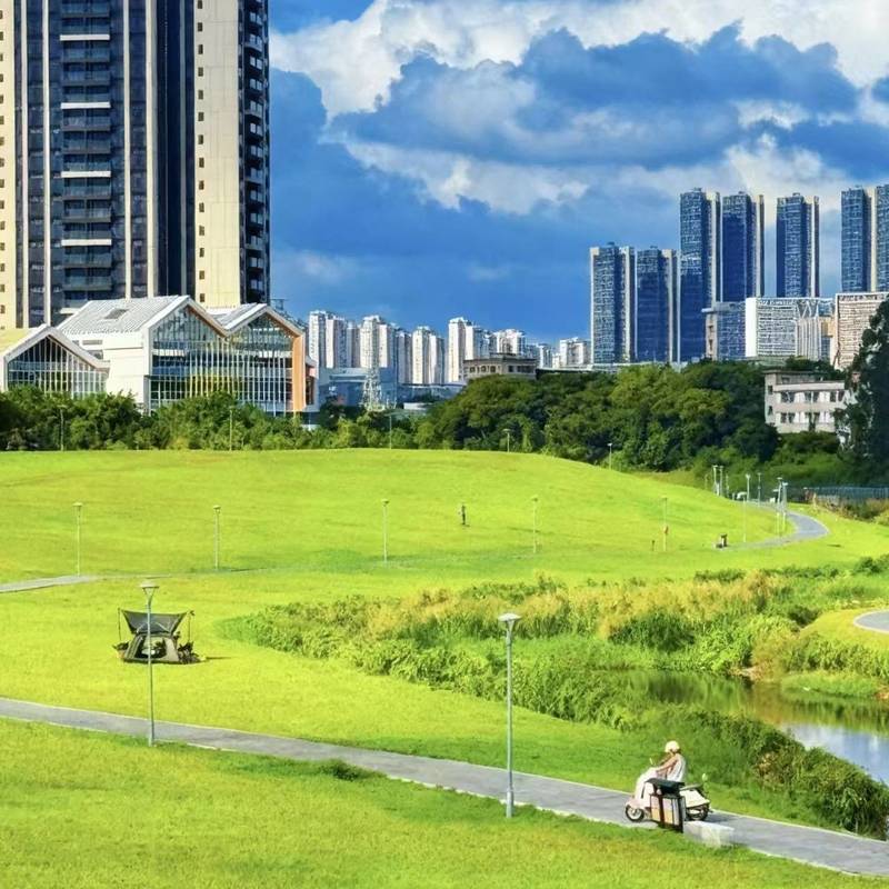 Shenzhen Pingshan | 奥园翡翠东湾-一期_6