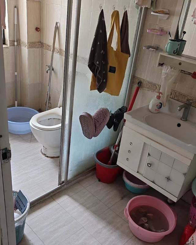 Xuzhou Peixian County | 东北家园小区_4