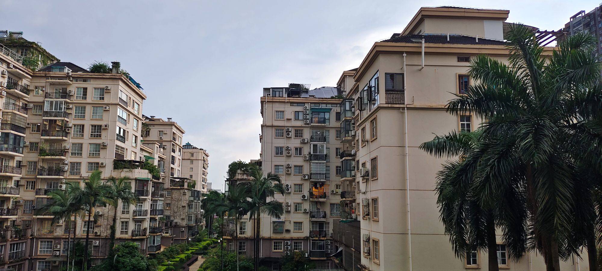 Qingxiu 澳洲丽园