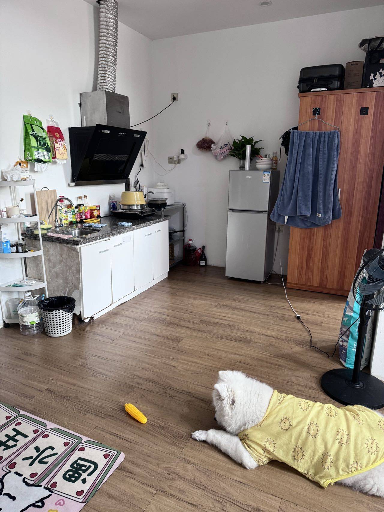 BaoAn 蓝庭公寓(固戍店)