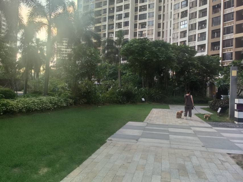 Zhuhai Xiangzhou | 燕都-7栋_5