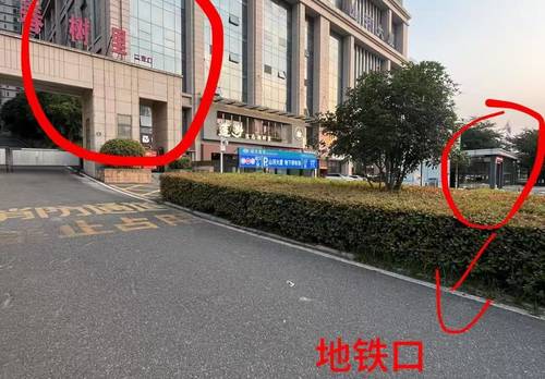 Wuchang 东湖春树里