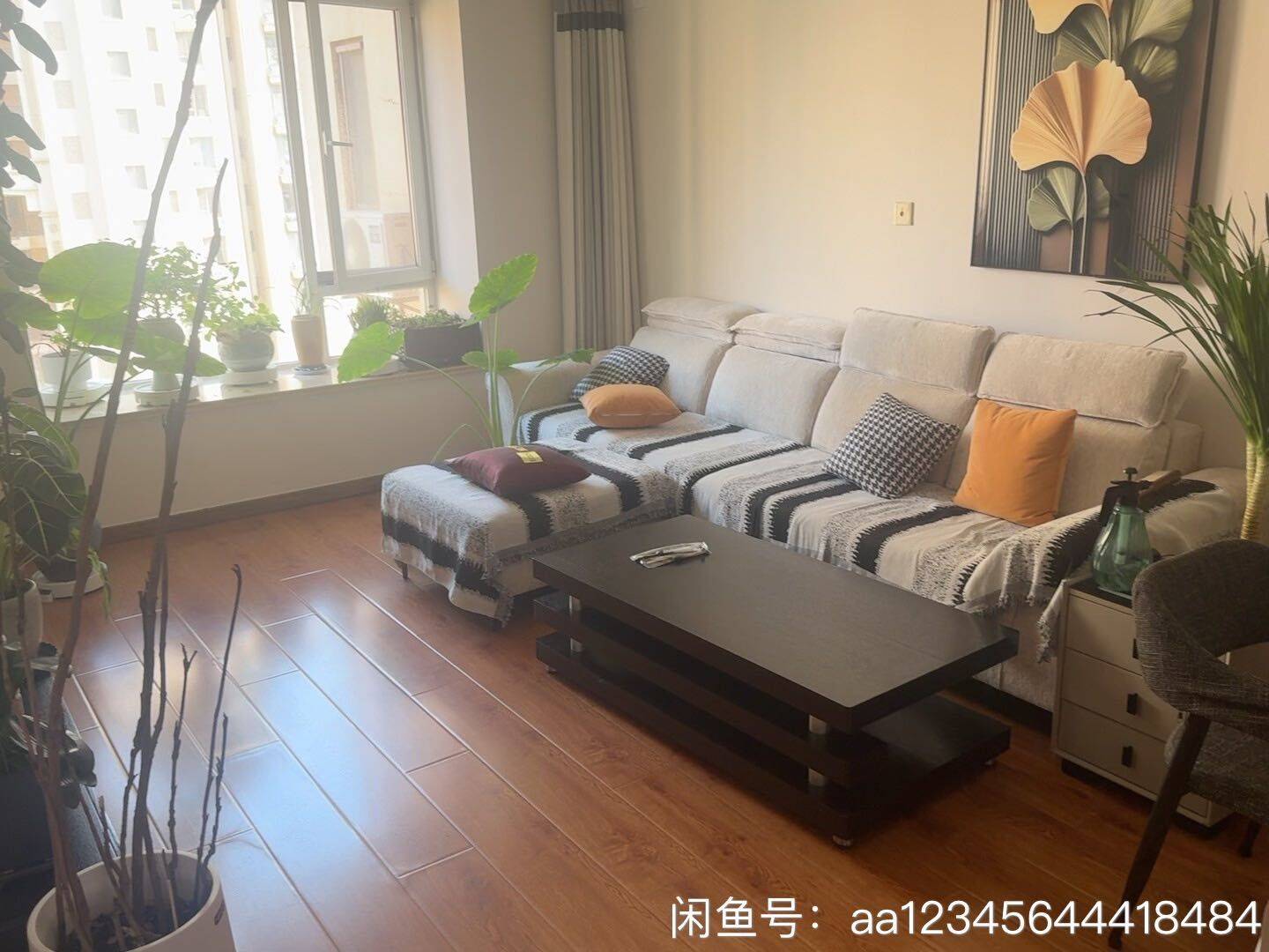 Qingdao Licang | 中南世纪城1期-西区_4