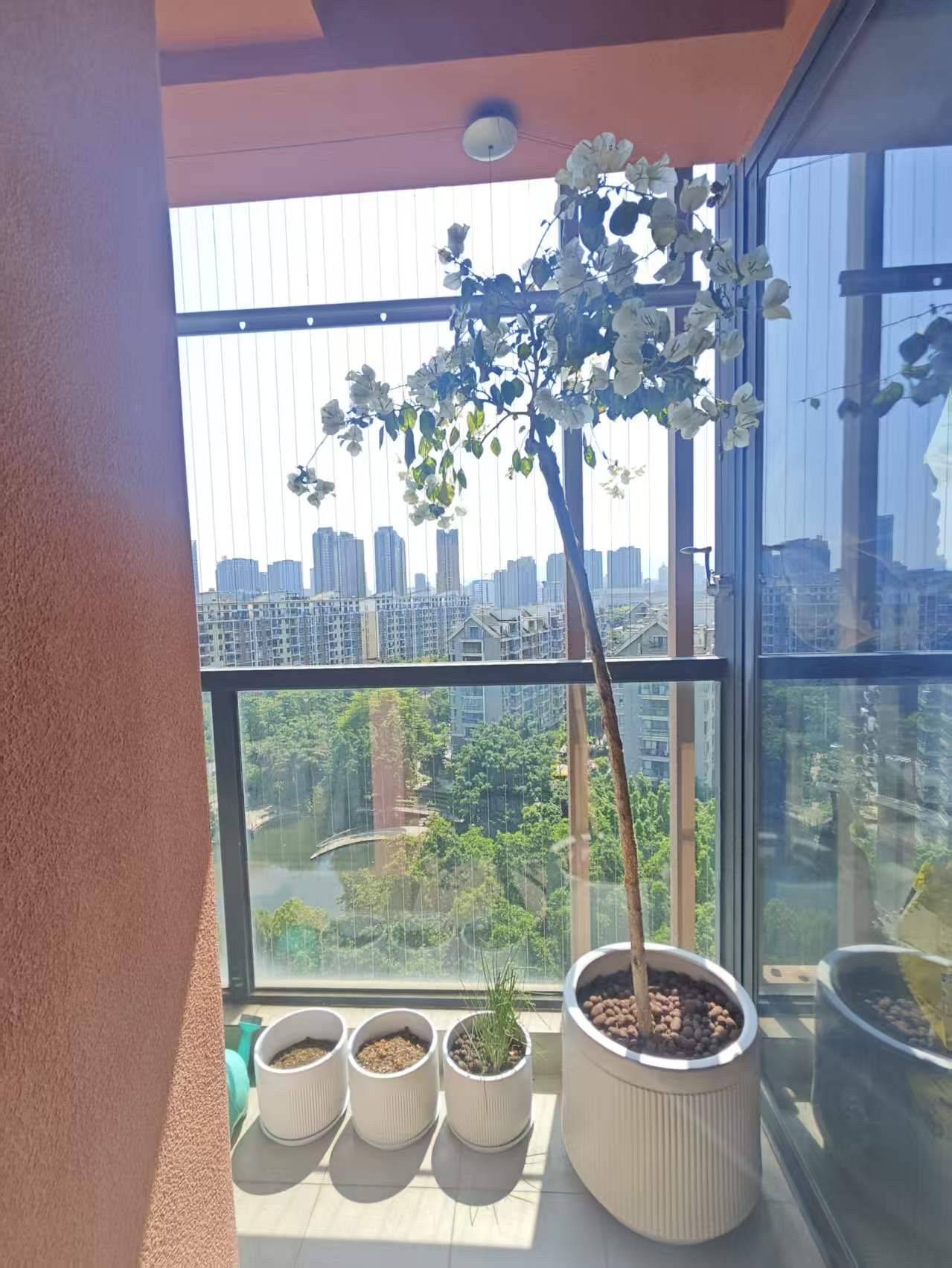 Taijiang 融侨江南水都心锐
