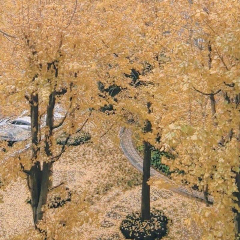 Shanghai Hongkou | 虹口现代公寓-4号_6