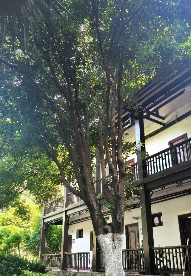 开福 龙福小区