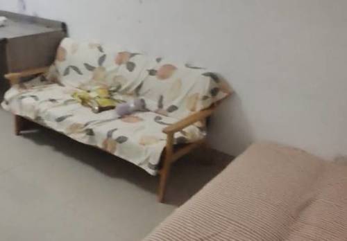 西鄉塘區 大商汇国际住区