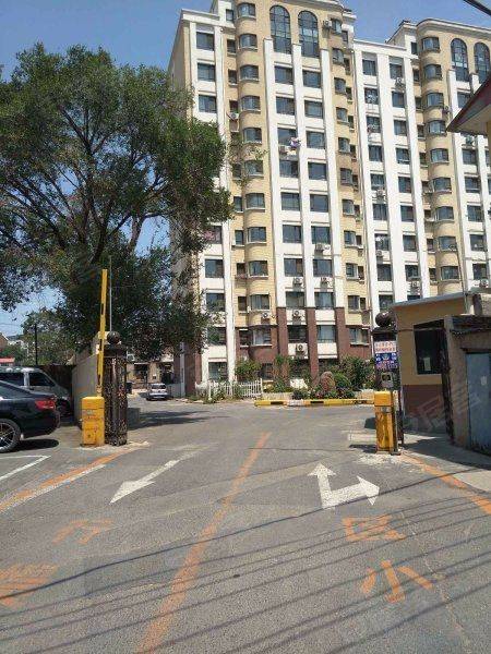 Ganjingzi 万亿香橙