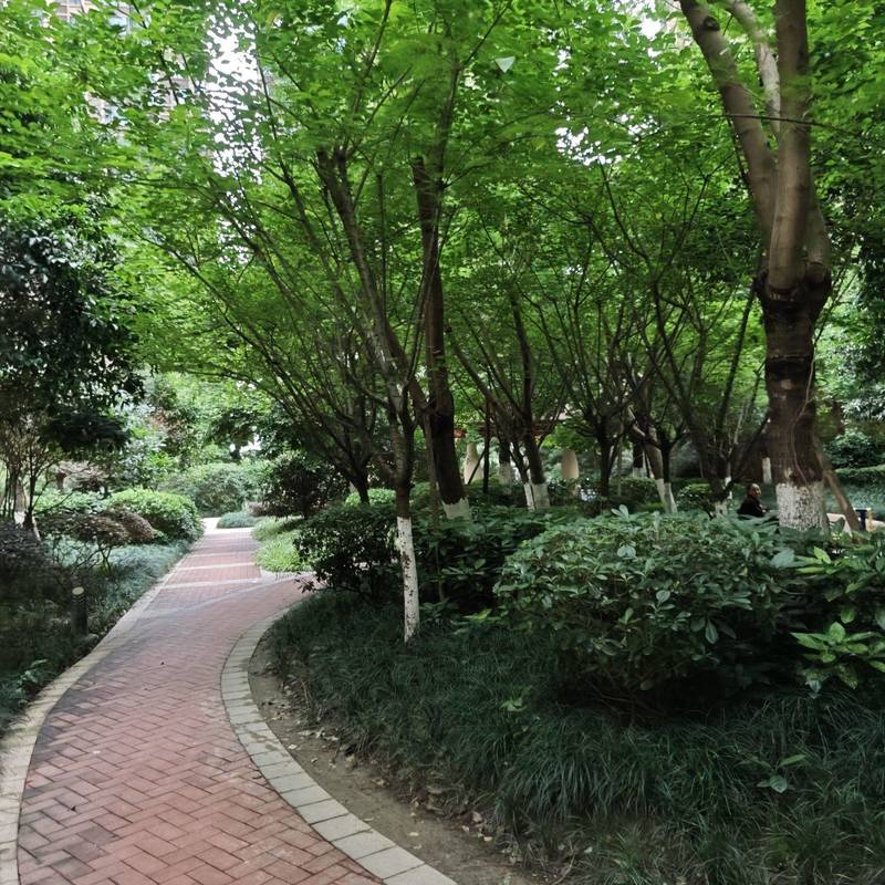 Chengdu Longquanyi | 华府·幸福城_6