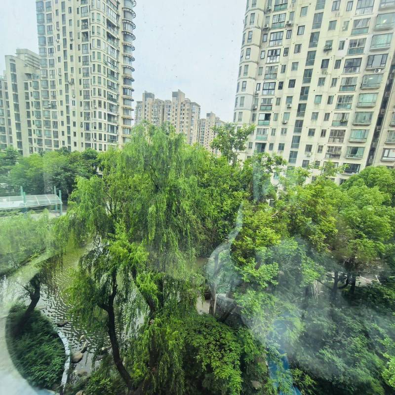 Shanghai Baoshan | 大华愉景华庭_7