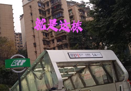 Shapingba 天一阁小区