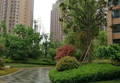 Yanta 铭城国际社区西区-13栋