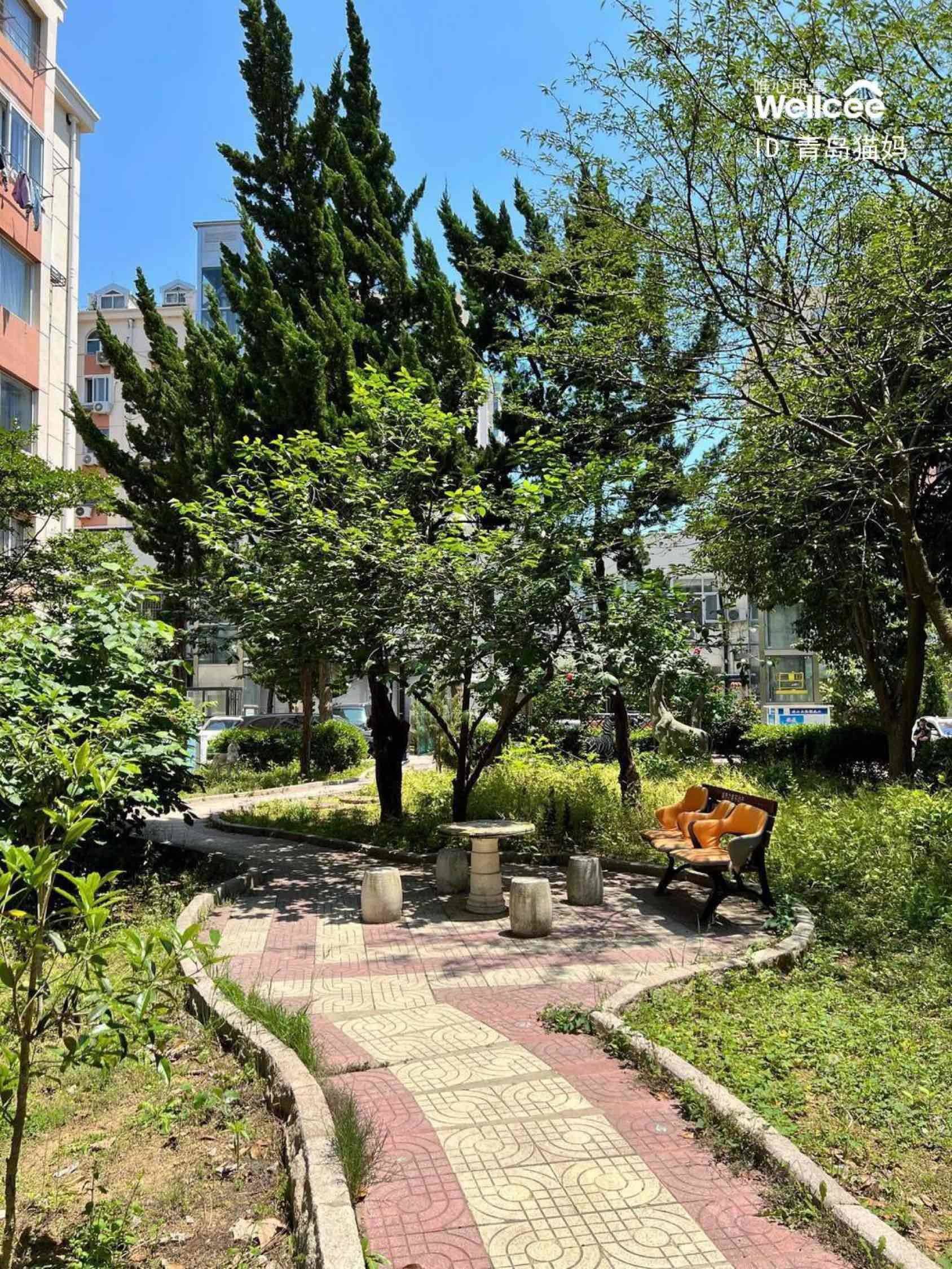 青島 市南 | 闽江花园_5