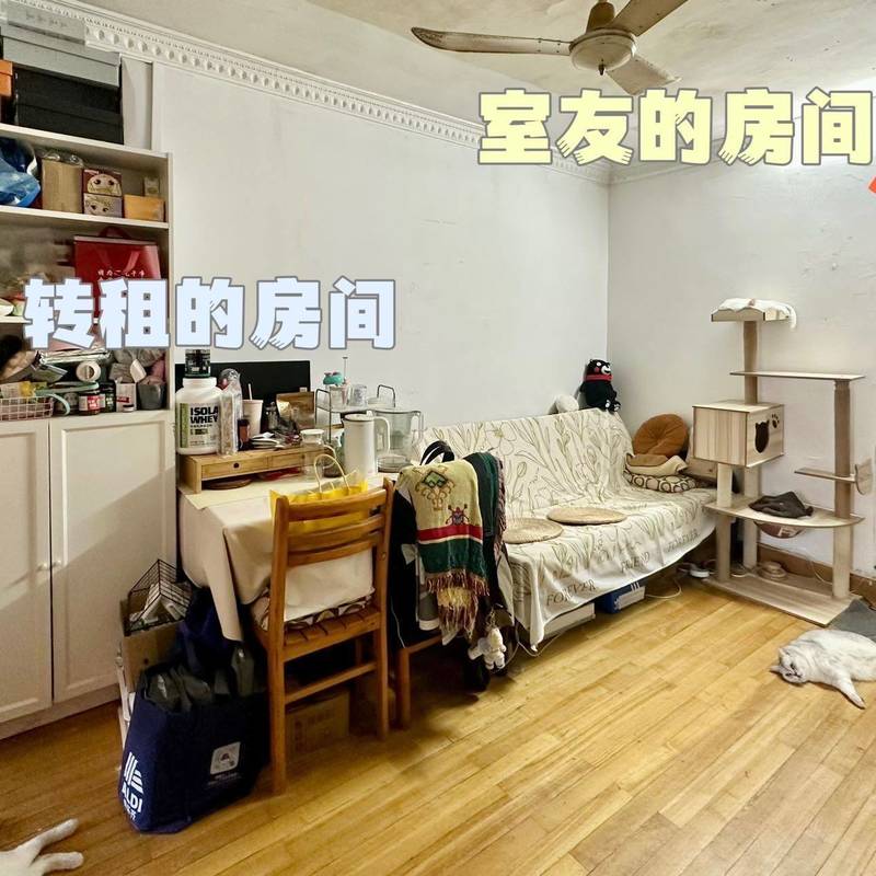 Shanghai Baoshan | 大华路869弄小区_5