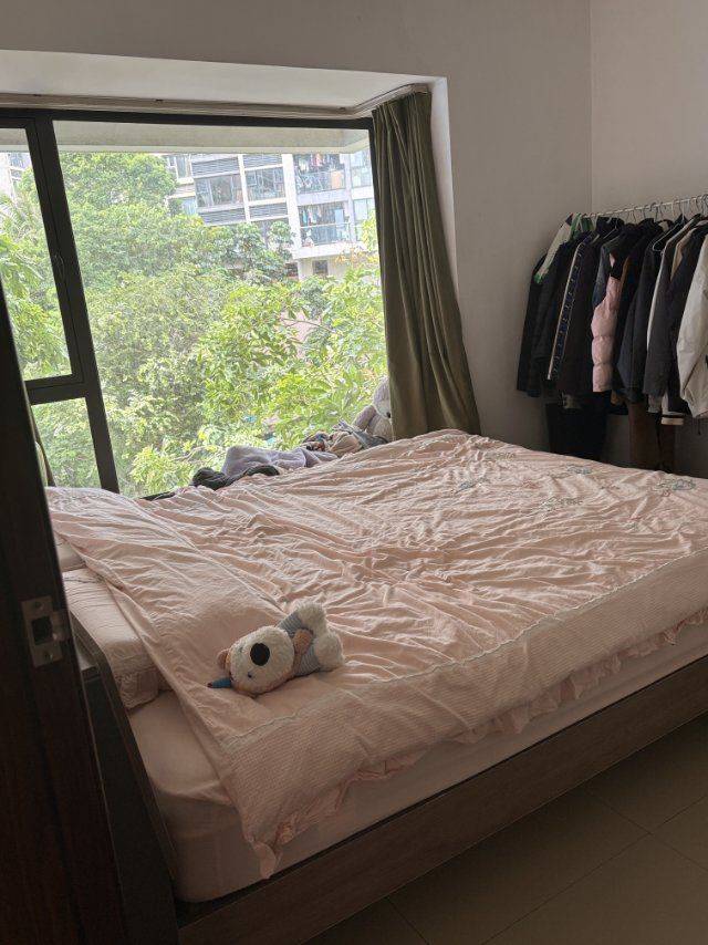 深圳 南山 | 春树里_8