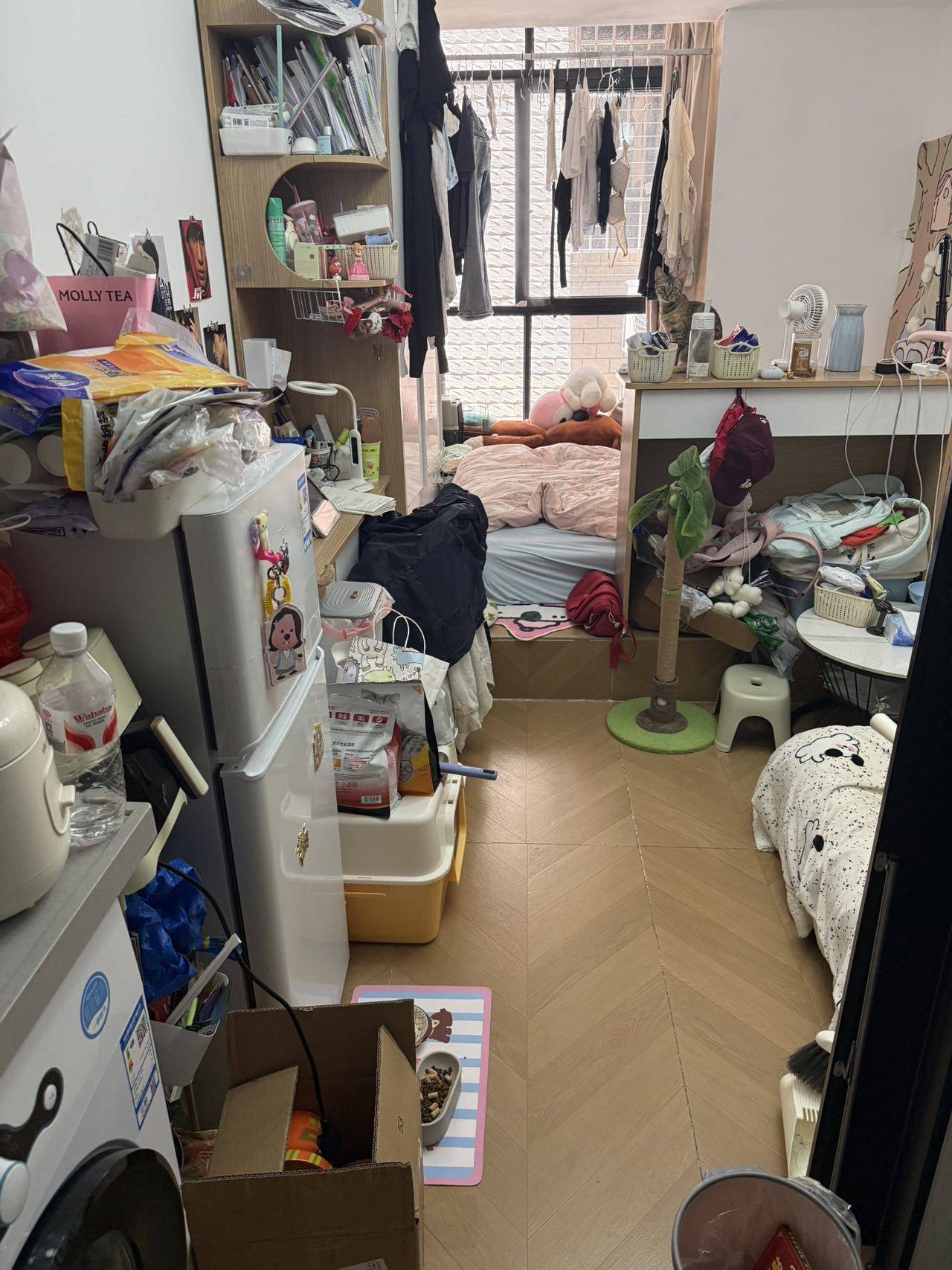 Huli 塘边社-254号楼