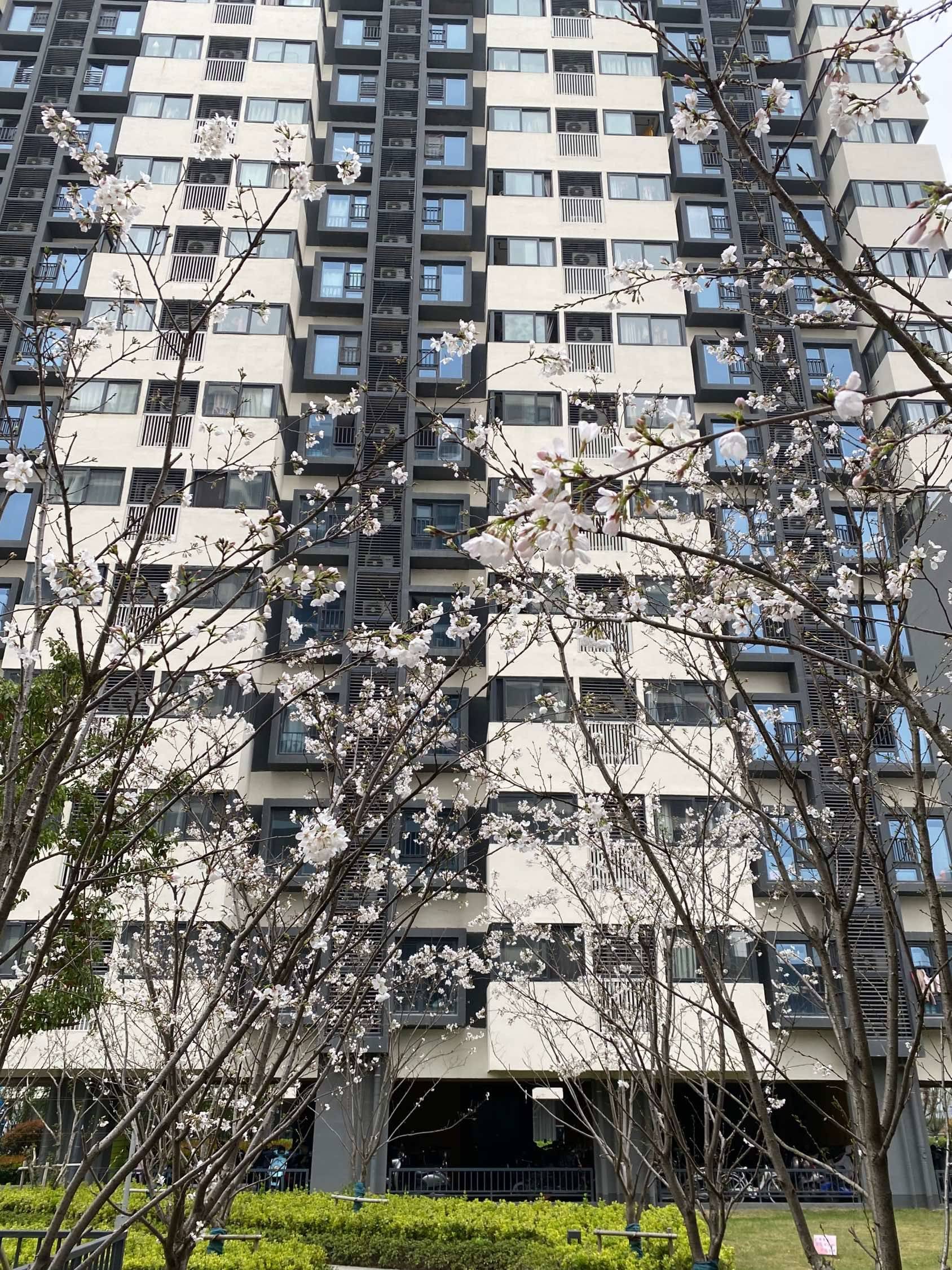 Shanghai Songjiang | 有巢国际公寓社区(上海泗泾店)_0