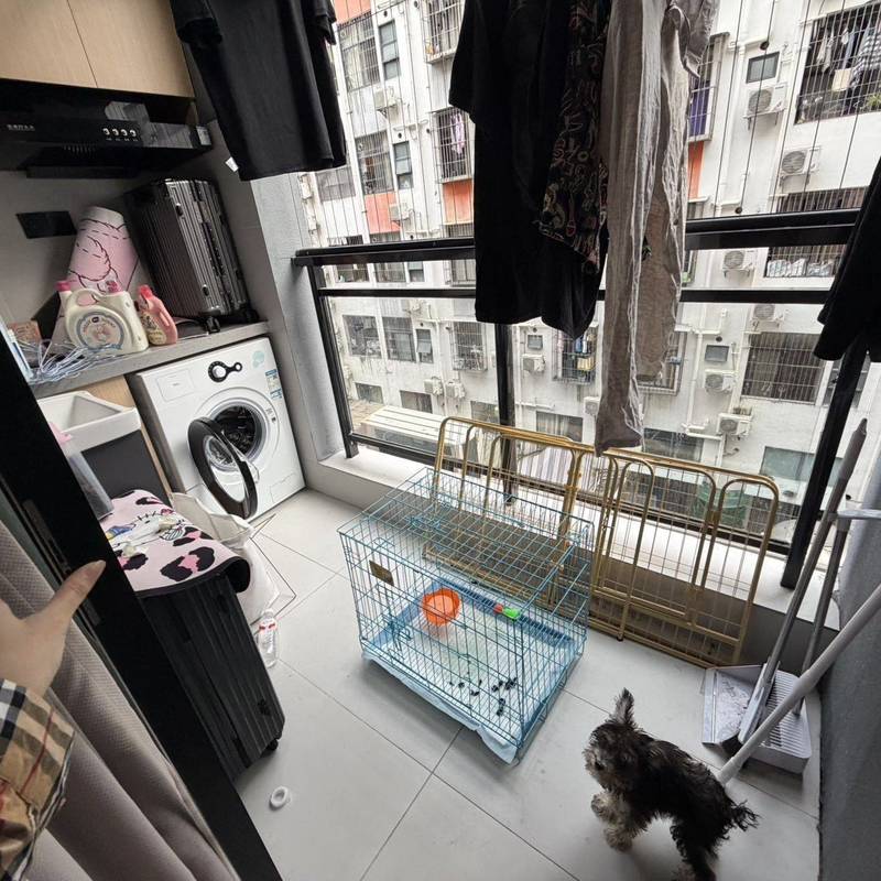 Shenzhen BaoAn | 宝田工业区-32栋_4