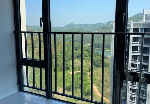 Huangpu 实地常春藤6期