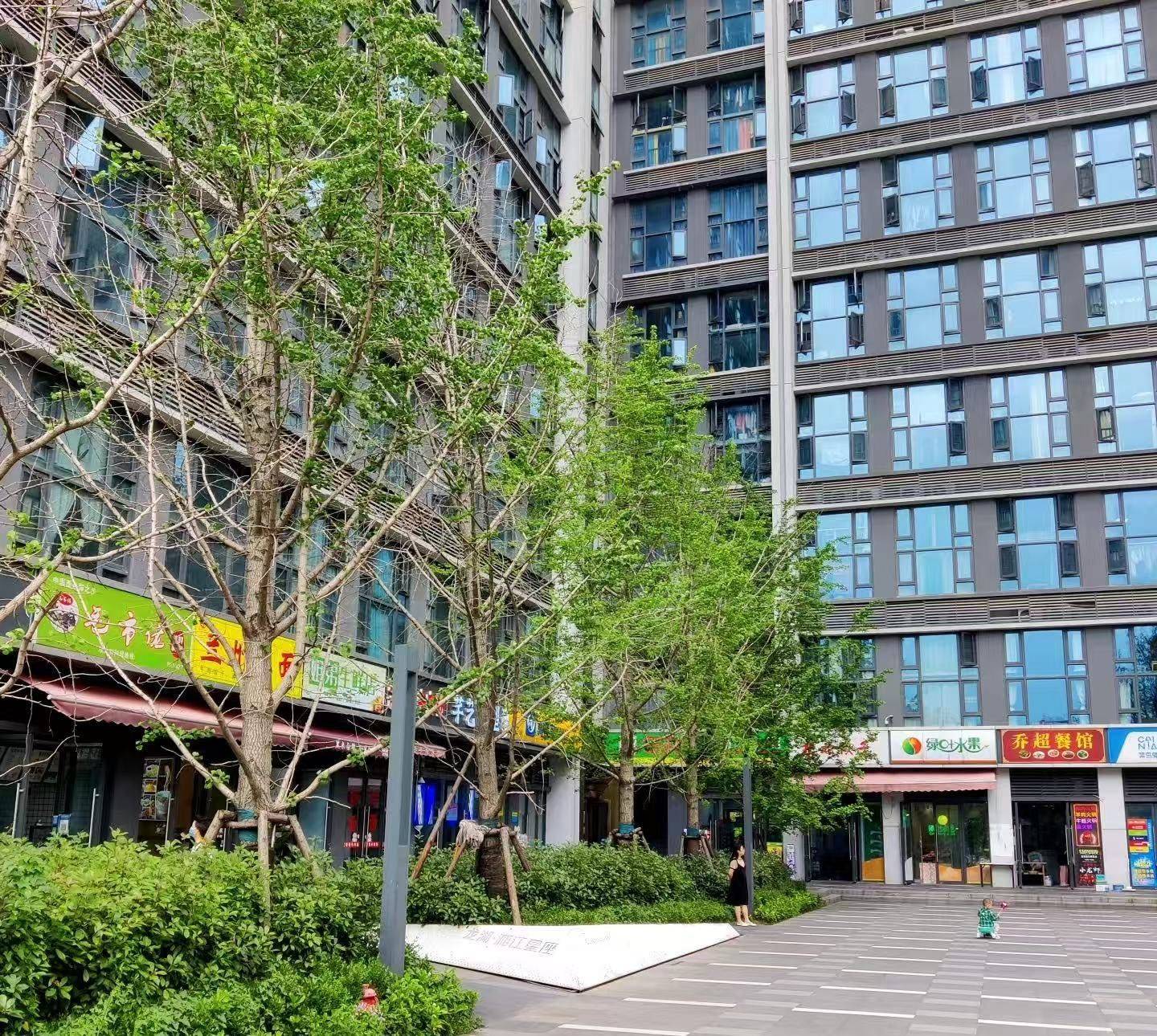 Changsha Yuelu | 龙湖湘江星座_4
