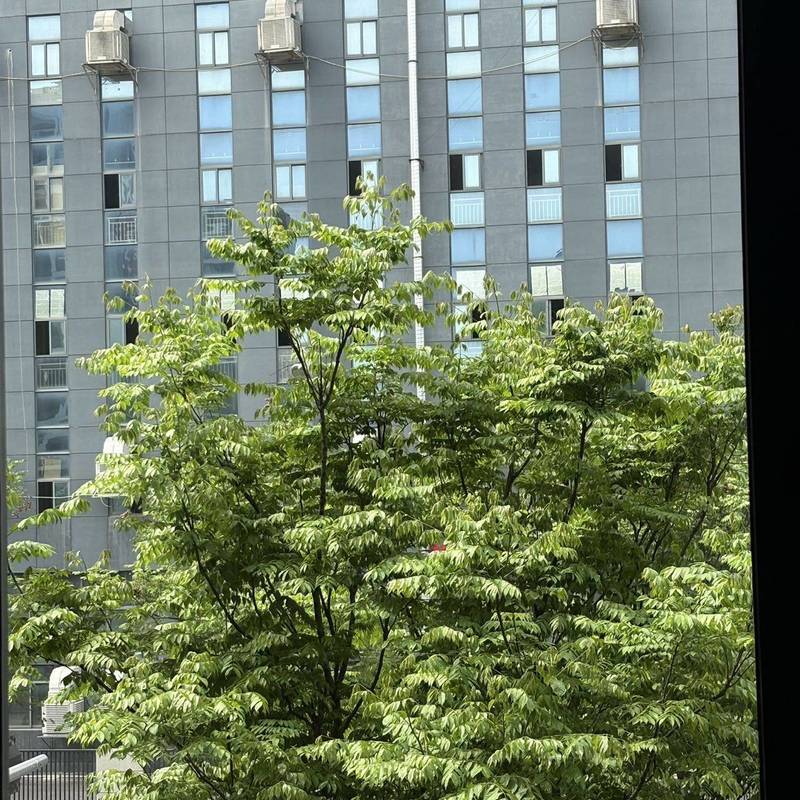 Jinhua Yiwu | 新屋二区_4