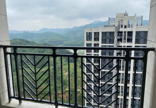 Huangpu 实地常春藤6期