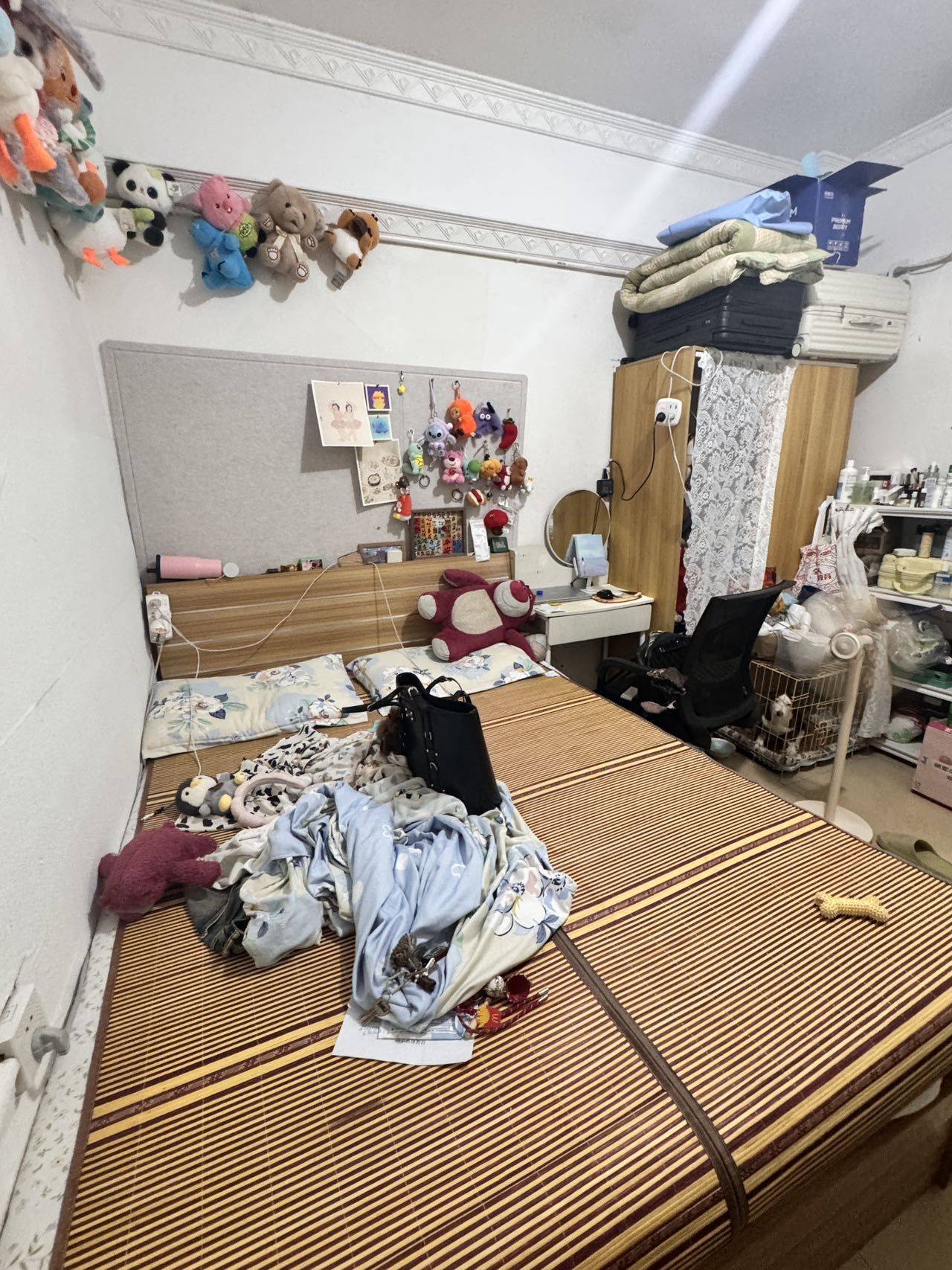香洲 万丰新园