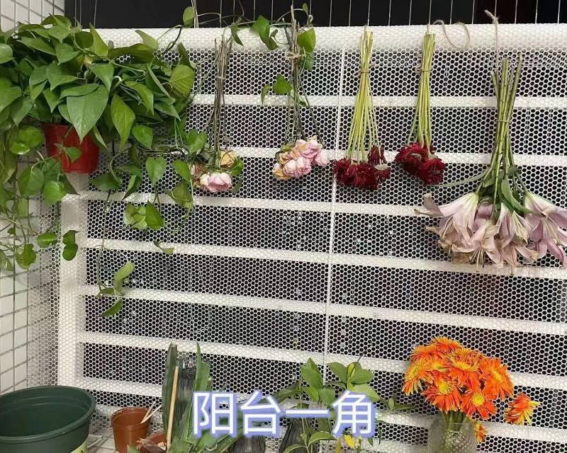 Guangzhou Tianhe | 伟腾天逸名都_4