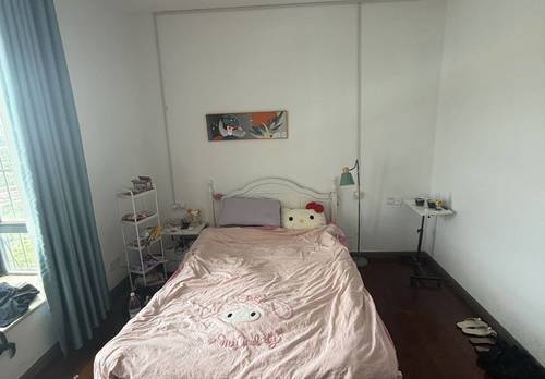 青秀区 旺南花园