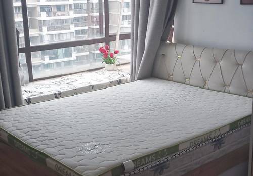 Songjiang 星辰园