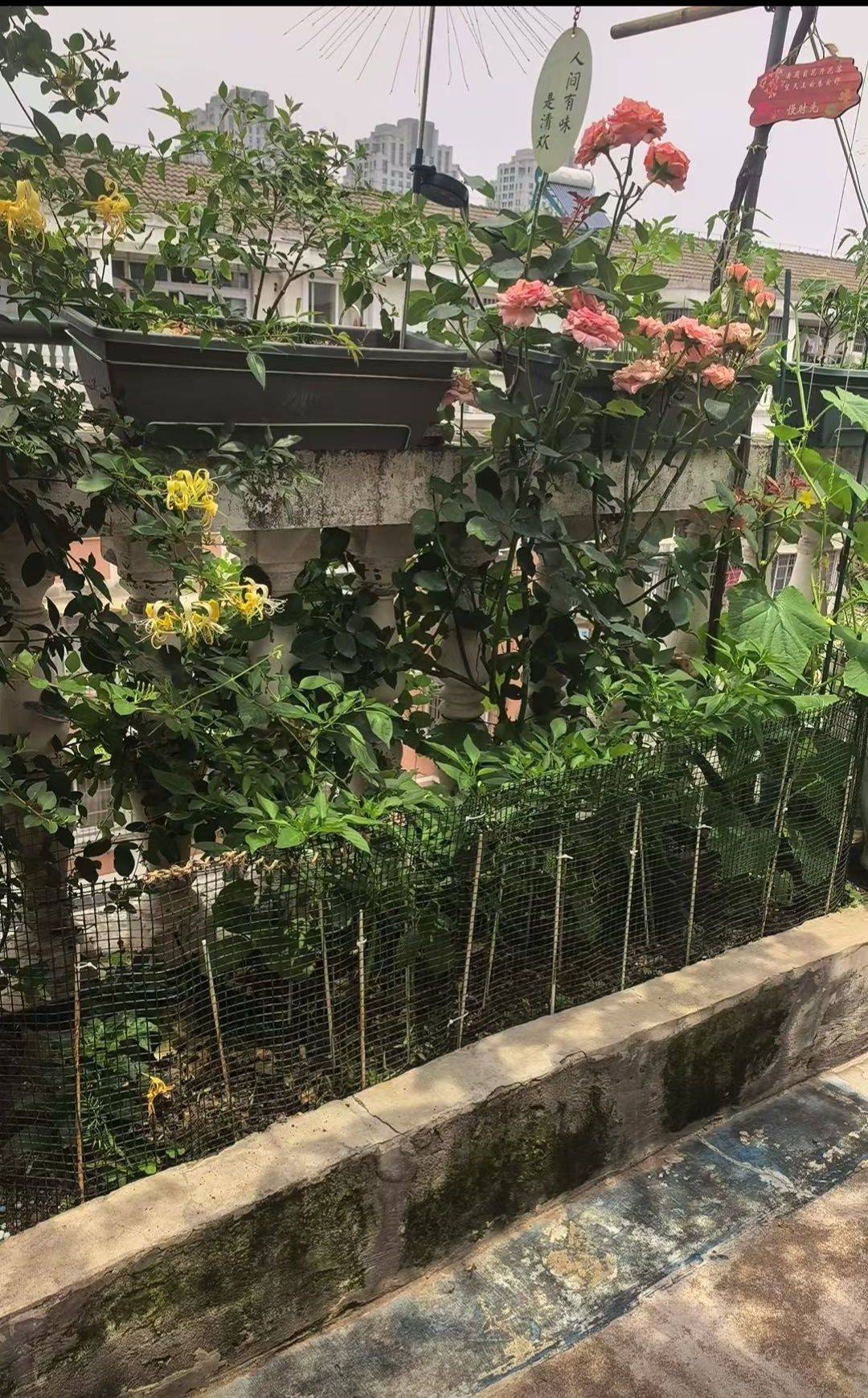 宁波 北仑 | 泰河康园东区-22幢_4