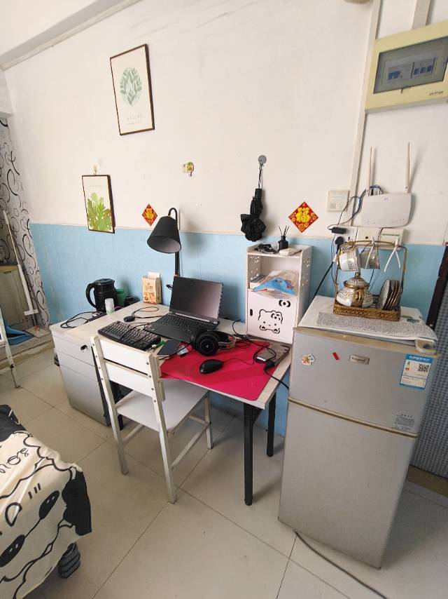 深圳 龙华 | 樟坑三区-57栋_4