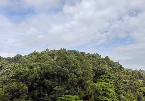 龙华 信城·缙熙园