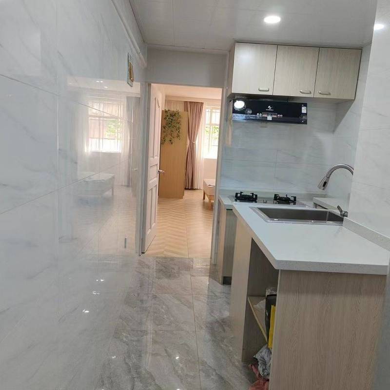 Shanghai Putuo | 东新支路55弄小区-4幢_3