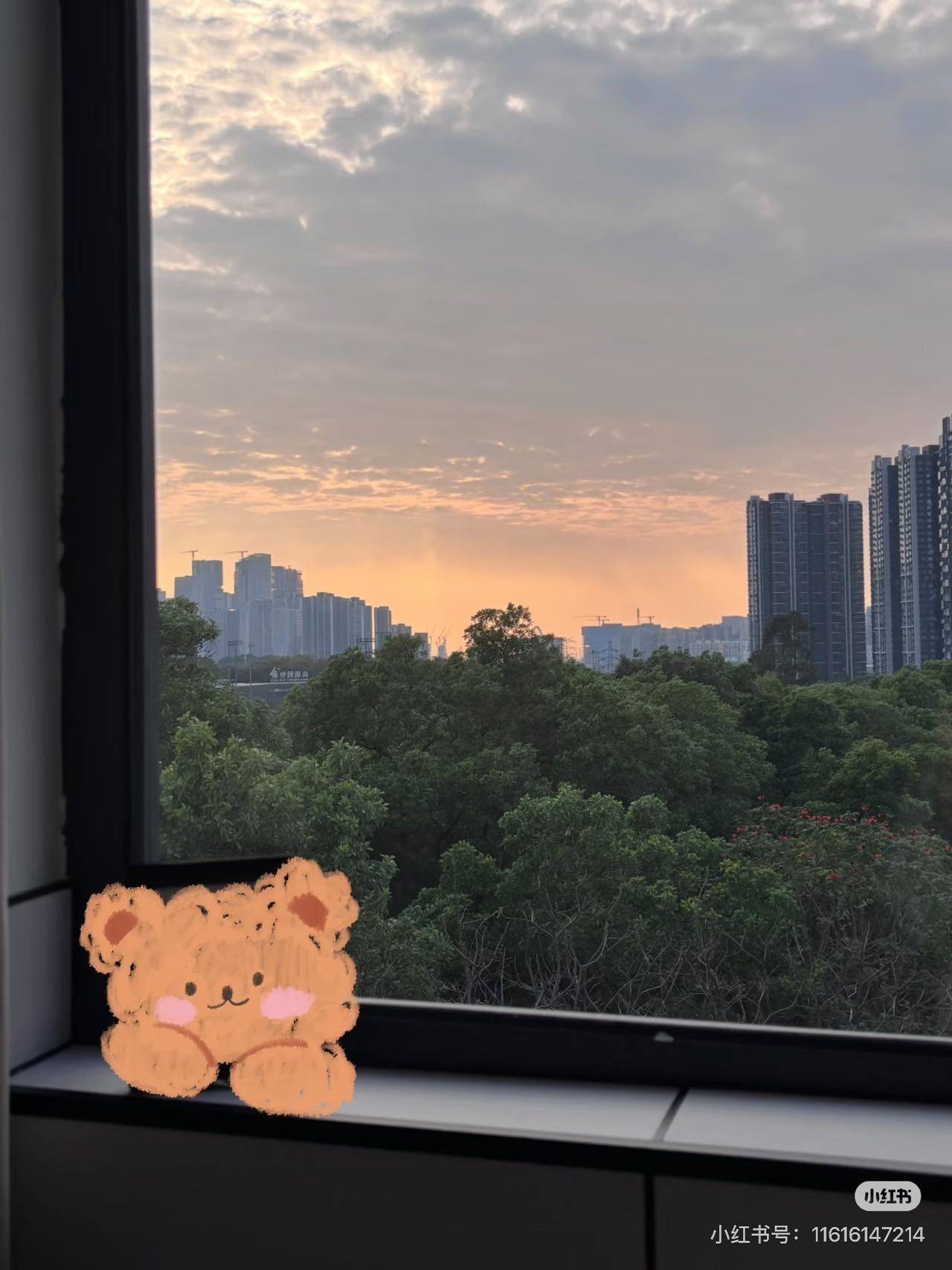 Shenzhen Nanshan | 泊寓(科技园店)_3