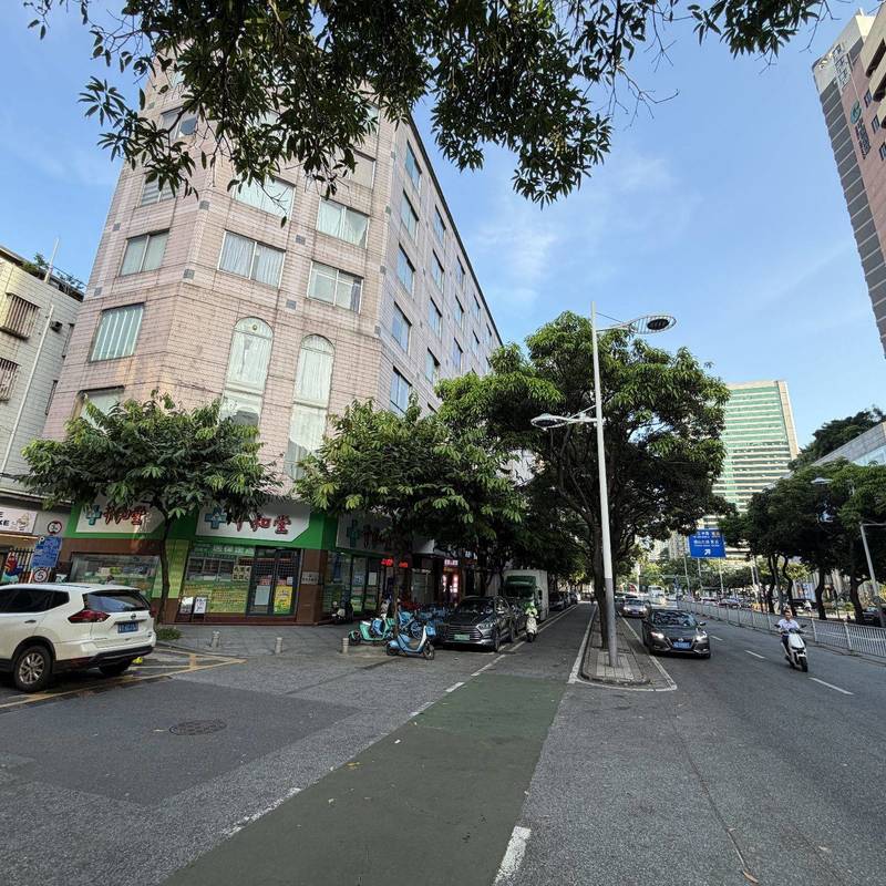 Foshan Chancheng | 新虹街小区_6