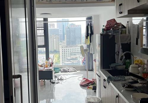青山湖区 力高雍湖国际-18栋