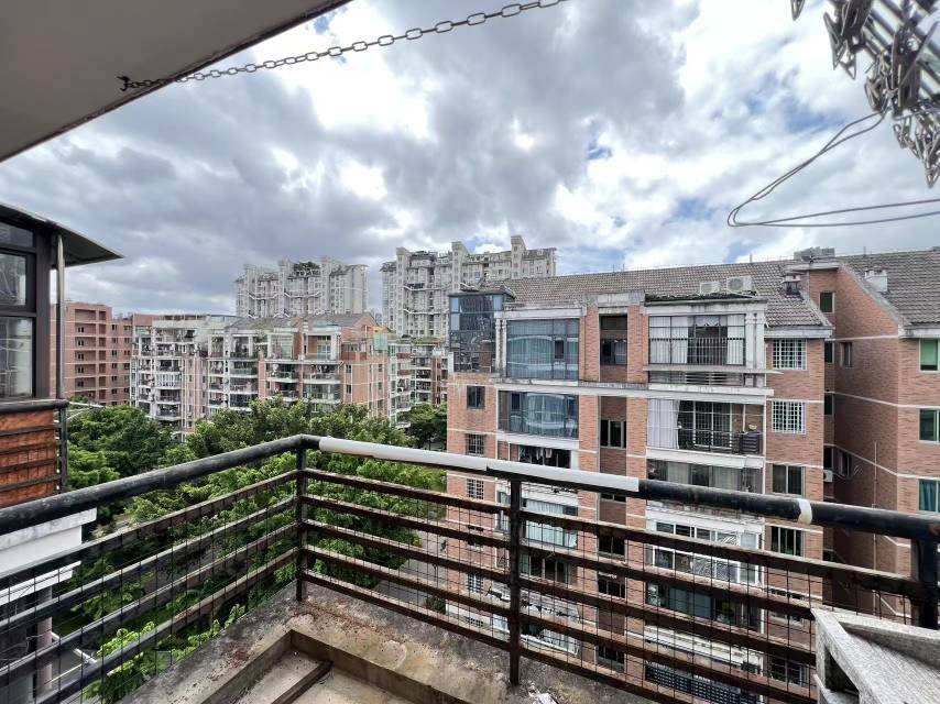 Fuzhou Cangshan | 金山桔园龙苑_6