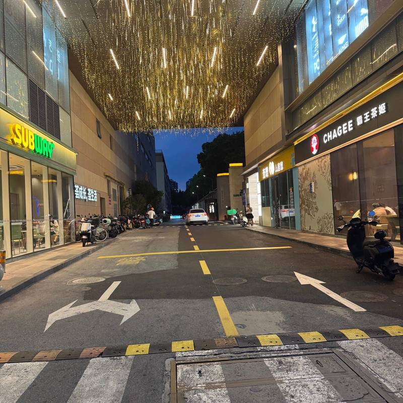 Shanghai Hongkou | 上海丽舍公寓_5